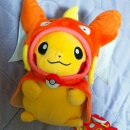 170202 | 170202 잉어킹 판쵸 피카츄 인형 구매후기