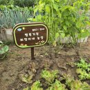 희정이네농장 이미지