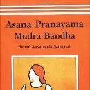 아쉬탕가 빈야사 요가 B 이미지