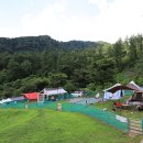 YELLOW HILL 이미지