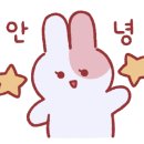 동양안경콘택트 이미지