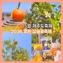 하영농장 | 5월 제주도 축제 2026 효돈 감귤꽃축제 서귀포 감귤박물관 감귤꽃향기따라걷기 트멍길 후기