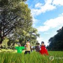 허수아비 이미지