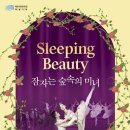 힐링동화발레극 잠자는 숲속의 미녀 이미지