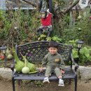 그림동산 어린이집 | 남양주 체험농장 안데르센 정원 아기랑 갈만한곳