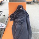 카디오메드 이미지