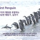 퍼스트 펭귄(First Penguin)이 되라 이미지