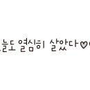 마니카모터스