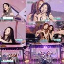 트라이비 카카오 검색결과