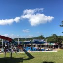 영농조합법인 김포관광농원 이미지