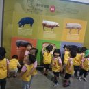 차돌어린이집 이미지