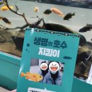 씨앤비푸드 | [서천 여행] 국립생태원 에코리움 (이용 꿀팁 있음)