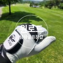 그립감 좋은 남자골프장갑 윈로드 양피 반양피 골프장갑