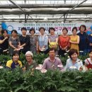 꽃차소믈리에 이미지