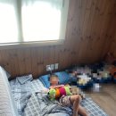 GS25 한림명랑점 | 3일차- 퐁냥이보러 GS25비양도선착장점, 제주맛집 명랑스낵, 전통테우낚시는 한림바다체험마을에서...