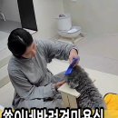 쑝이네 애견샵 이미지