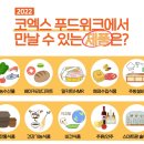 이뮤노바이오텍주식회사 이미지