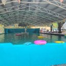 양평숲 비룡캠프장 이미지