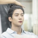 하루댕댕 이미지