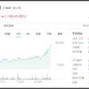 디와이조경