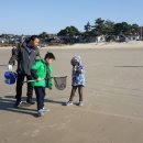 장삼포민박 이미지