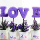 종암38 이미지
