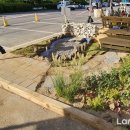 레메디움 이미지