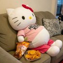 멍멍한끼 | [25.00.00] 나의 1/3에게