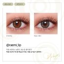 렌즈미가수원점 | (대전렌즈미 가수원점) 렌즈미 홀로리스 아시안핏 추천렌즈