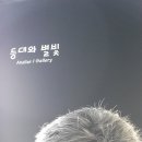 새시대이용원 이미지