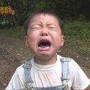스테이목화 네이버블로그