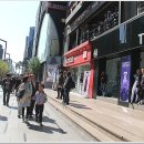 강남대로 이미지