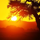 나미브(NAMIB)