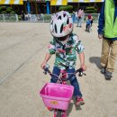 죽향초교 병설유치원 이미지