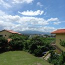 제주도유 이미지