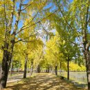 양곡리 공중화장실 이미지