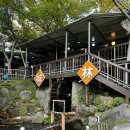 평지못(1) | 부산 근교 김해 진례 평지못 야외 백숙 맛집 성림가든