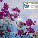 상봉어린이집 이미지