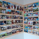 안집농장 이미지