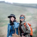 삼화목장 Daum카페