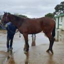 부마목장 이미지