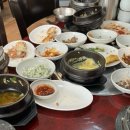 도니친구미나리 이미지