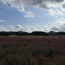 수유농원 이미지