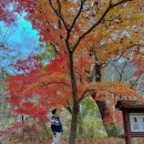 계룡면사무소 | 충남 공주 단풍명소 계룡산 갑사 등산 없이 즐기는 가을여행 코스