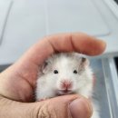 (주)폴리모프 이미지