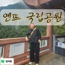 <경계에 서다> | 베트남의 영혼, 옌뜨(Yên Tử)에서 구름 위에 서다