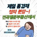 제일공사
