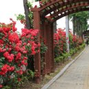 금천구 시흥3동 주민센터 이미지