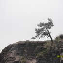 바닷가 풍경 이미지