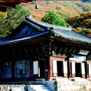 영장3리 이미지